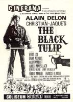 1965_black_tulip