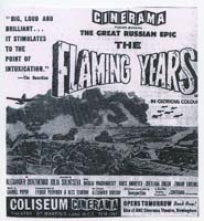 1965_flaming_years