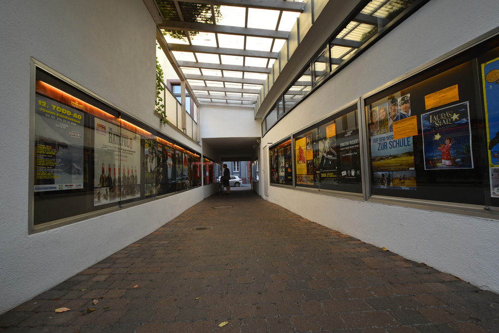 DSC_8958